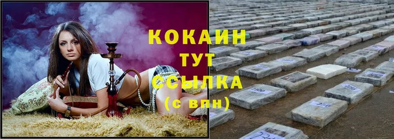 Кокаин FishScale  цены   Тара 